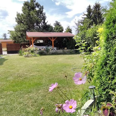 Holiday home Sophia Dolni Brezany Esterno foto