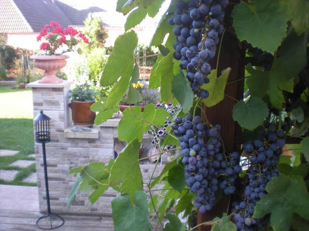 Holiday home Sophia Dolni Brezany Esterno foto