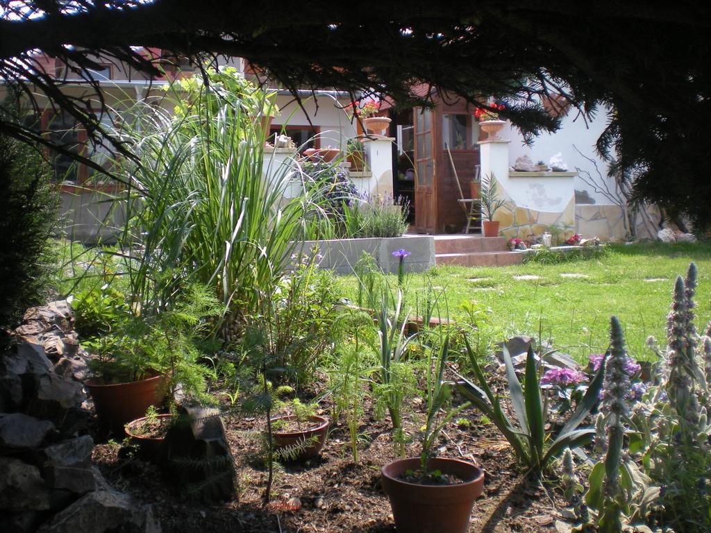 Holiday home Sophia Dolni Brezany Esterno foto
