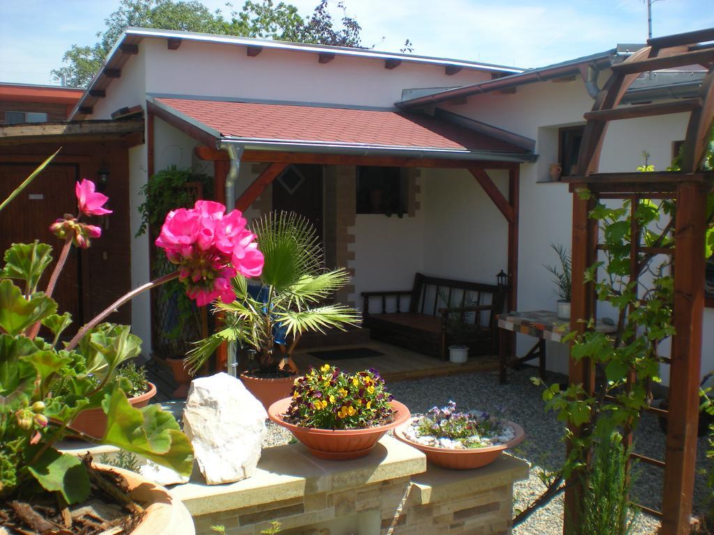 Holiday home Sophia Dolni Brezany Esterno foto