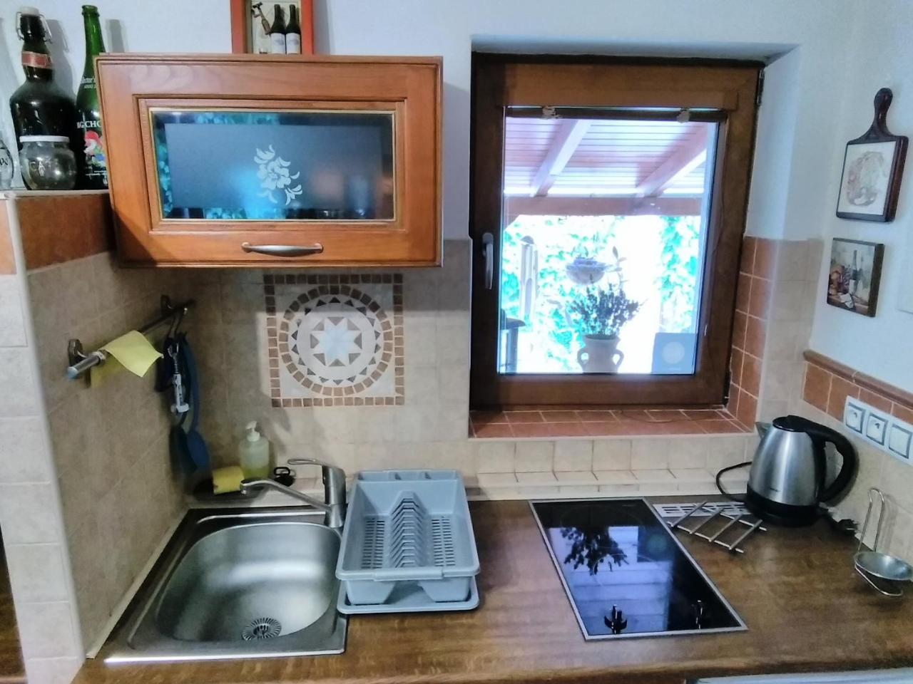 Holiday home Sophia Dolni Brezany Esterno foto